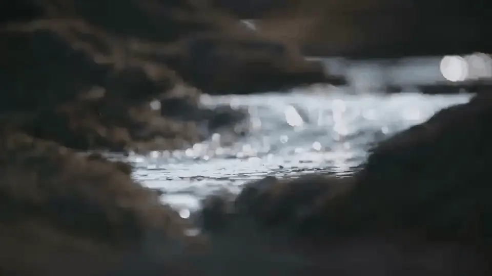 Global network connectivity